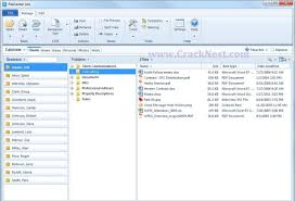 file view pro serial
