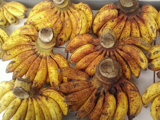 Jenis dan Manfaat Hebat Buah Pisang