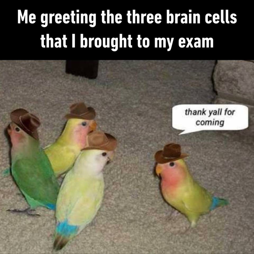 Me greeting the three brain cells that I brought to my exam - Thank yall for coming