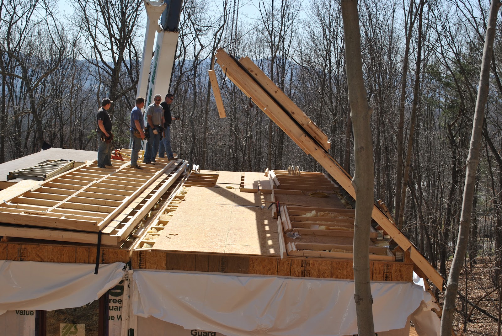 Our New House Raising the Roof