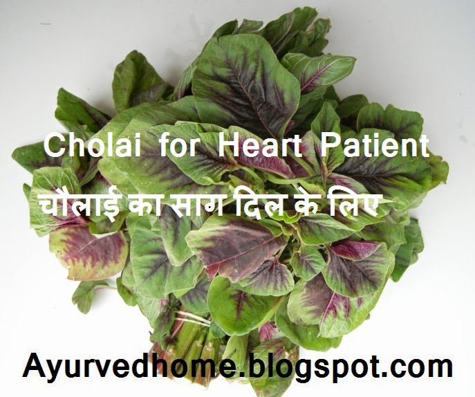 Amaranth Green Leaves for Heart Cholai Ka Hari Saag for Heart Patient चौलाई का साग दिल के लिए Amaranth Green Leaves for Heart Cholai Ka Hari Saag for Heart Patient चौलाई का साग दिल के लिए