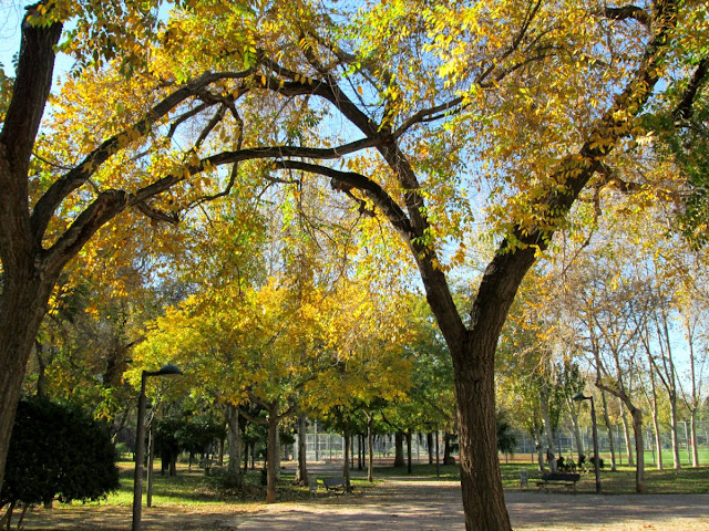 Jardín Viejo Cauce Río Turia, diciembre 2013 - Paseos Fotográficos TK