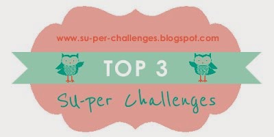Top-3 SUper Challenges