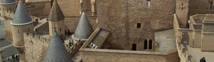 Castillo de Olite Navarra