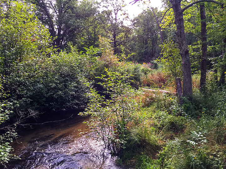 Ice Age Trail Emmons Creek Segment