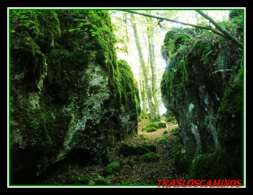 Tras los caminos El bosque encantado de Artea y la cueva de los cristinos