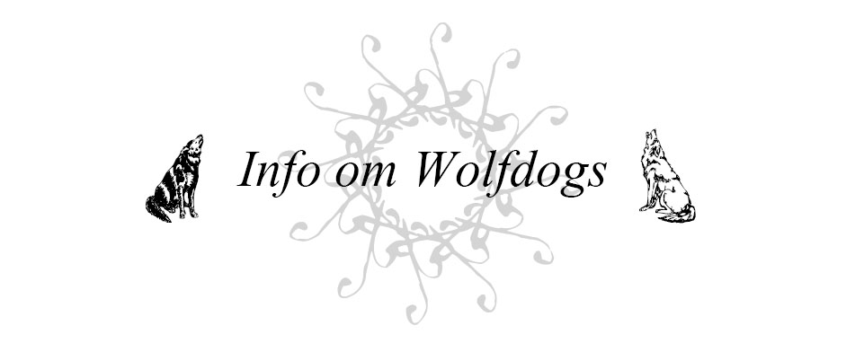 Info om Wolfdogs