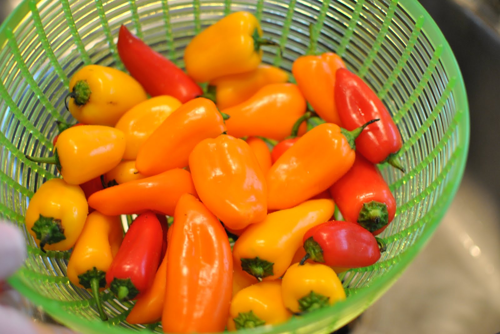 31 Flavors Stuffed Mini Peppers