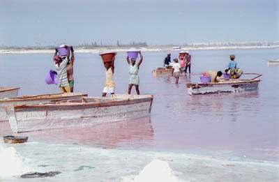 Le Lac Rose is sprinkled with salt miners, using their hands and shovels to collect salt. Le Lac Rose is sprinkled with salt miners, using their hands and shovels to collect salt.
