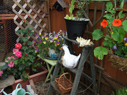 coop chicken garden salem tour homey everywhere hens plenty touches range places explore