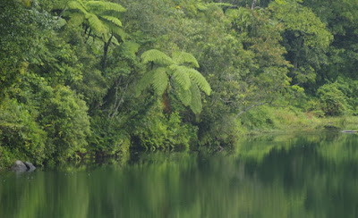 Danau Ranamese Manggarai Timur Danau Ranamese Manggarai Timur