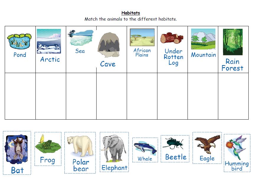Types of holiday примеры. Разница глаголов fit match suit. Genres of books на английском. Types of holidays. Жанры книг на английском языке.