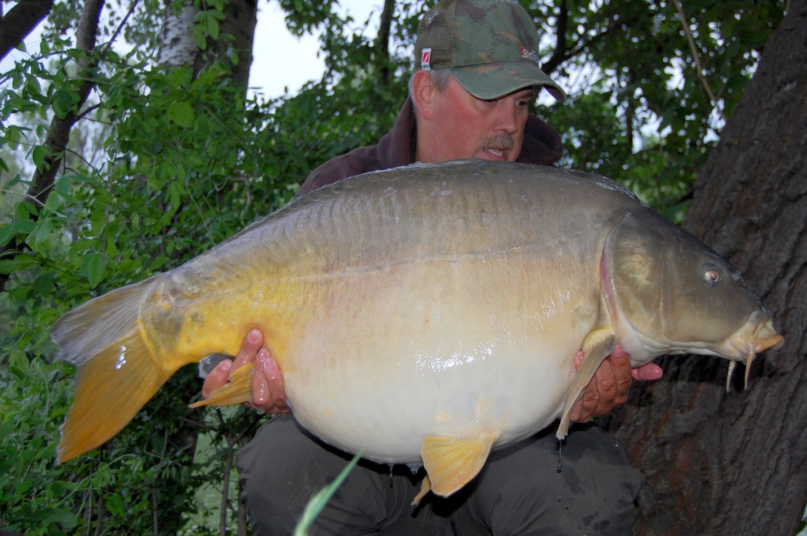 Team Blog Martin Miksch