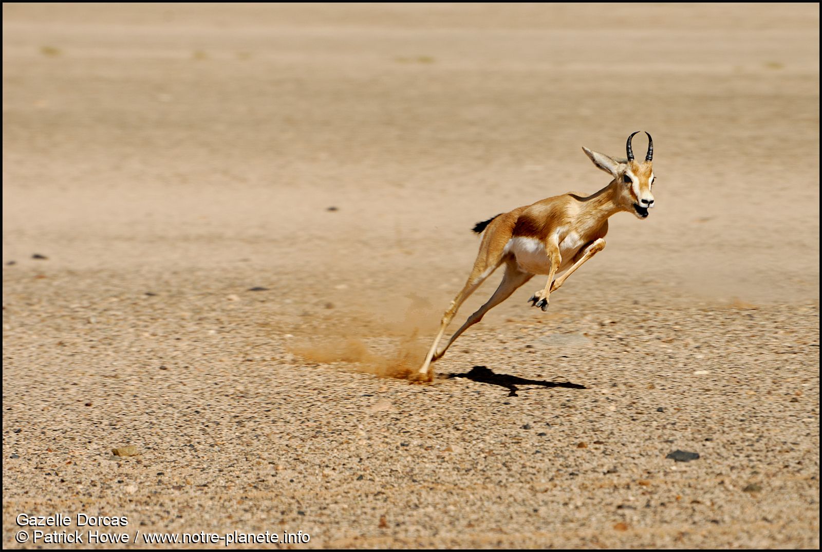 histiore et culture patrimoine d