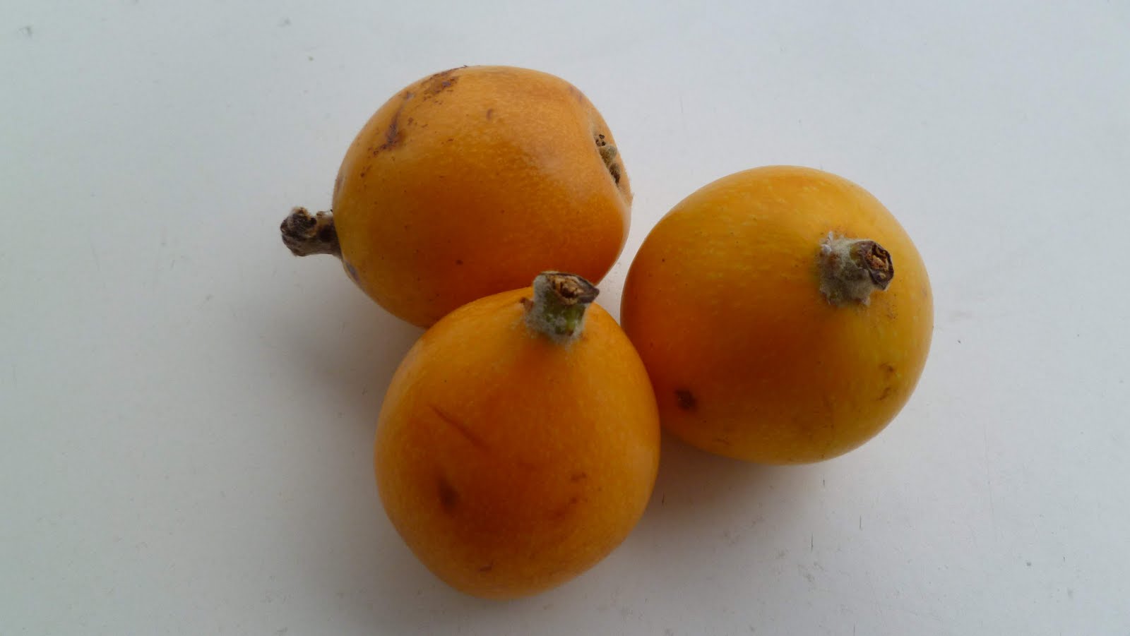 2011 (España): Nouveau fruit 