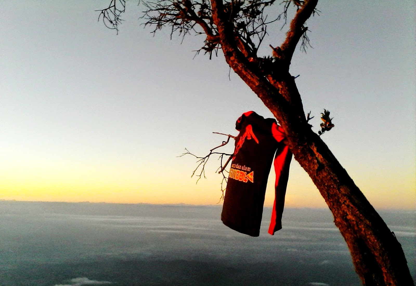 mendaki gunung sumbing