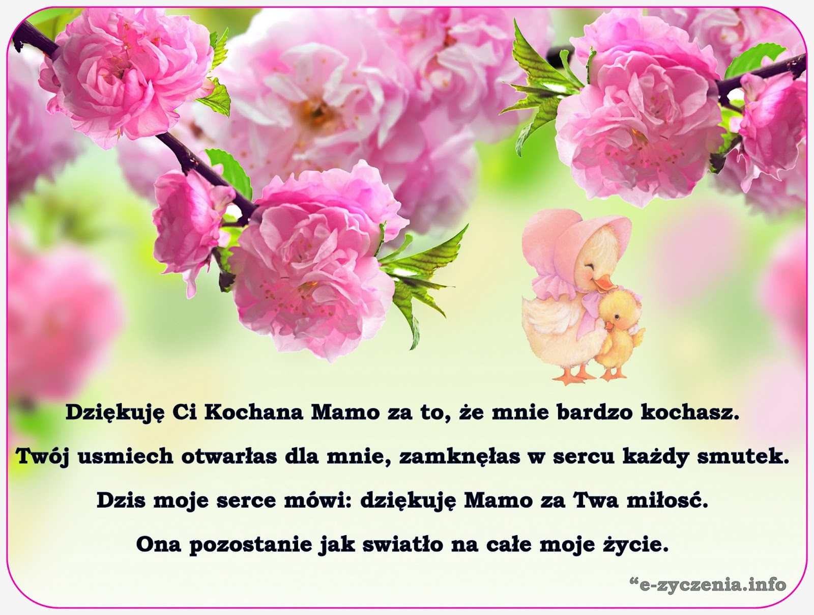 ŻYCZENIA NA KAŻDĄ OKAZJĘ: DZIEŃ MATKI 2016 życzenia