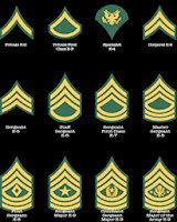 2014 Army Ranks