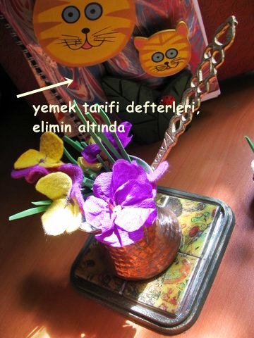elyapımı.: Nisan 2013