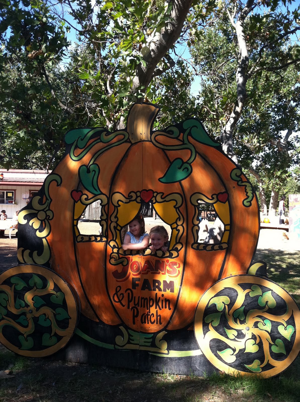 The Simple Things: Pumpkin patch