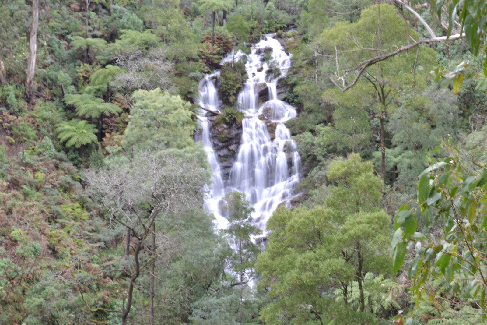 Sylwia Down Under Wombelano Falls Kinglake National Park