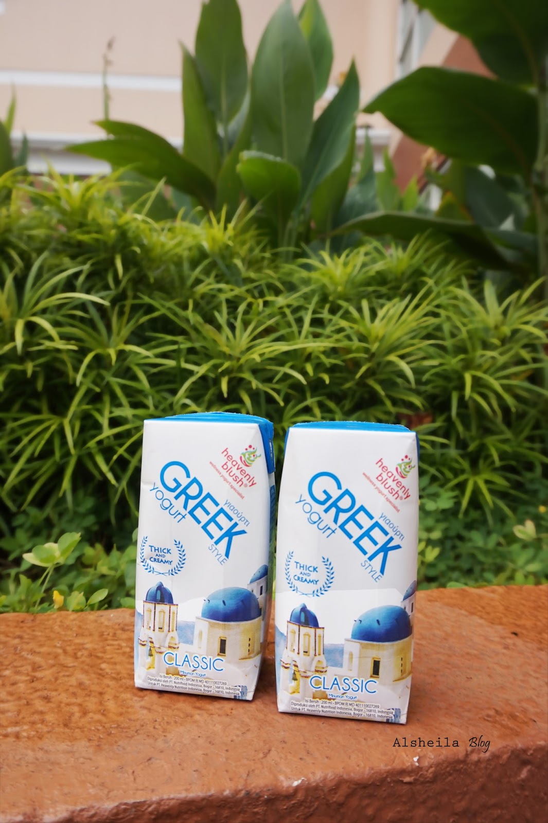 heavenly blush greek heavenly blush greek yogurt