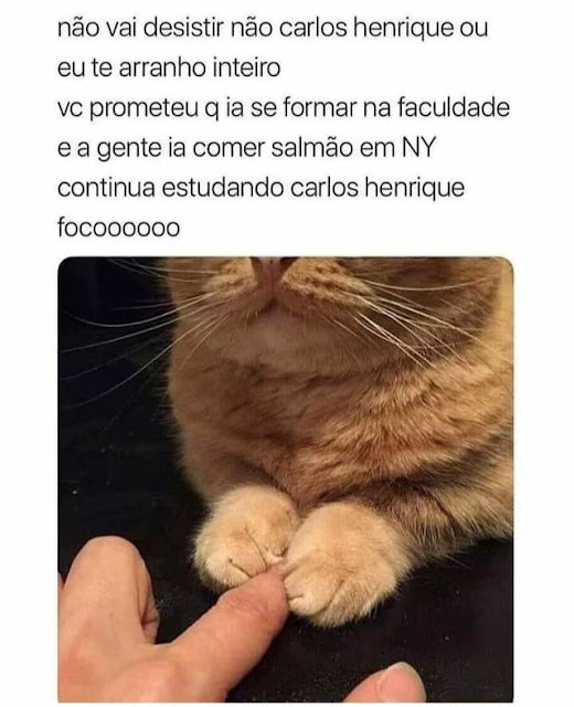 Memes engraçados Memes engraçados