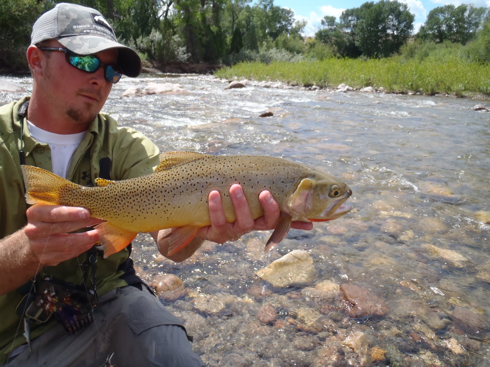 Wind River Fly Fishing Report, Dubois, Wyoming August 2011