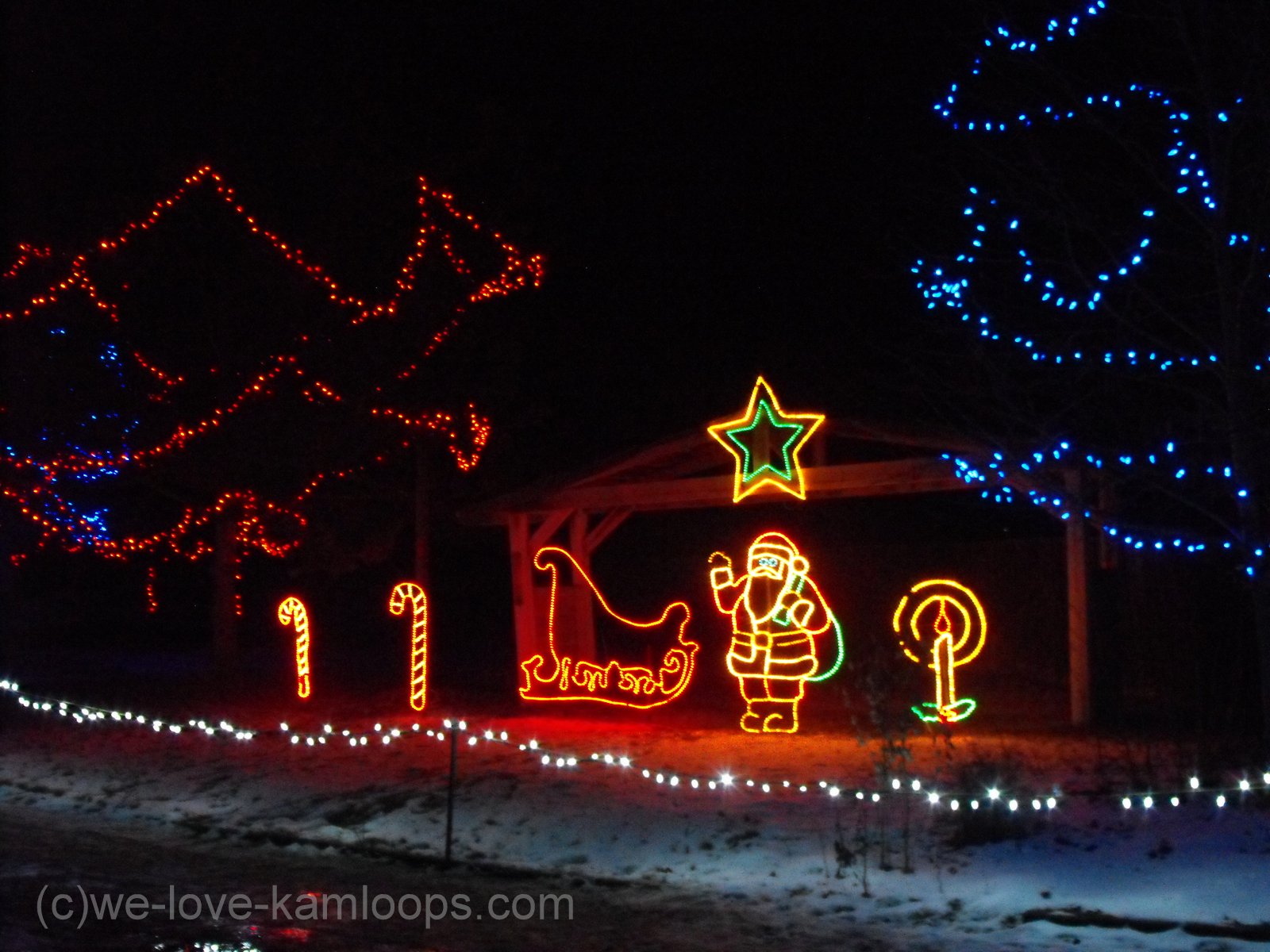 welovekamloops Wildlites BC Wildlife Park Kamloops, BC