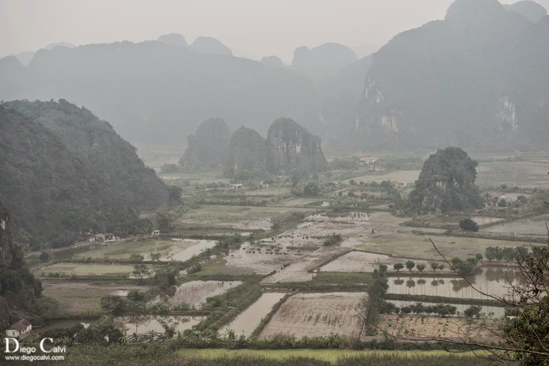 Viet Nam, el cuerpo del Dragón - Vuelta al Mundo - Blogs de Vietnam - Los arrozales de Ninh Binh y Tam Coc (2)
