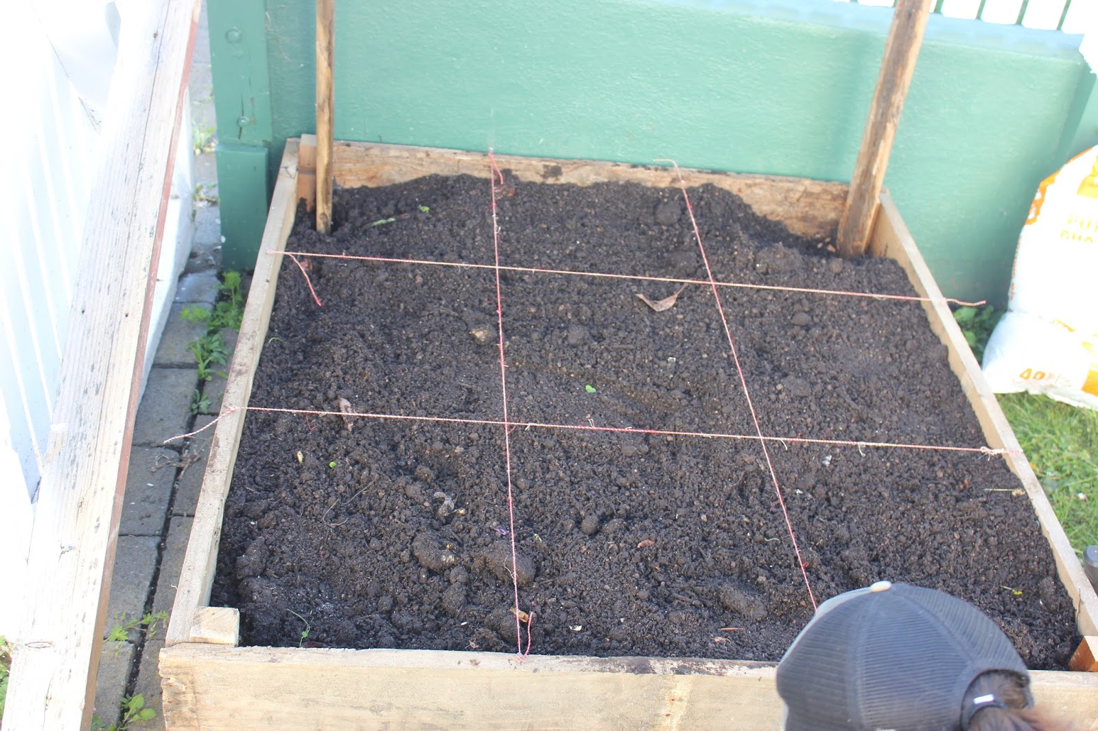 Sustainability and D.I.Y.: We Made a Veggie Garden!