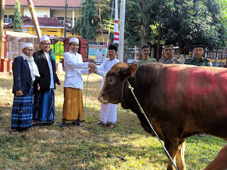Plh Bupati Serahkan Sapi Qurban, Pasangan Bupati Trenggalek Ke Takmir Masjid Agung Baiturrahman