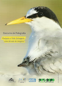 CATÁLOGO "PARQUES E VIDA SELVAGEM 2012"