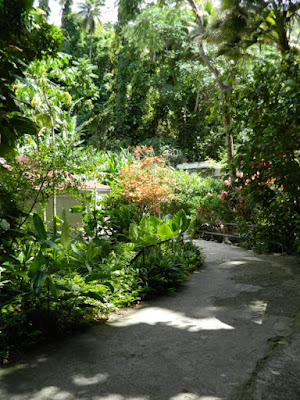St. Lucia Diamond Botanical Gardens path Soufriere by garden muses-not another Toronto gardening blog