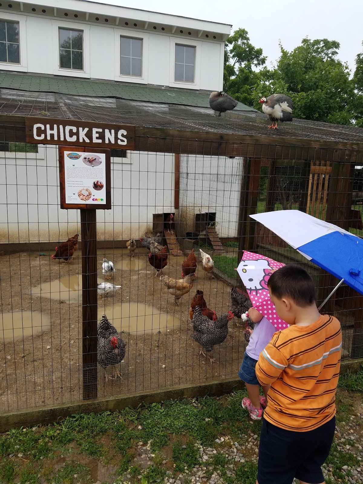 Play St. Louis Willoughby Heritage Farm, Collinsville IL