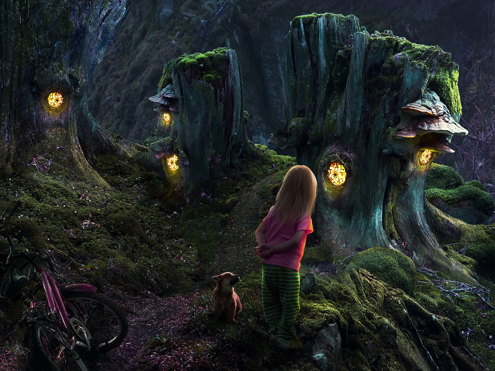 Andy foto natura Bosques encantados