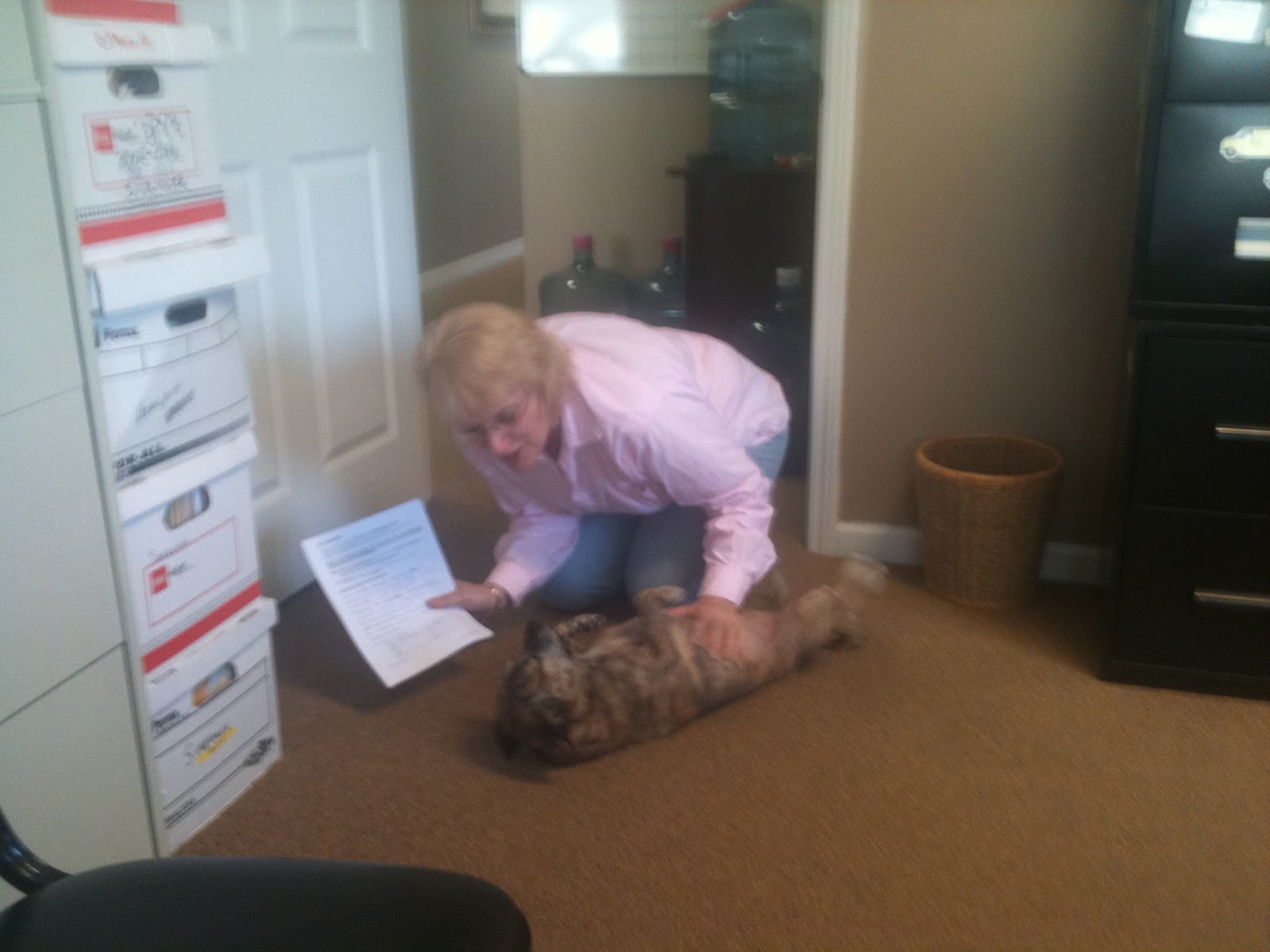 Renting in Pensacola Pet Friendly Rental Housing