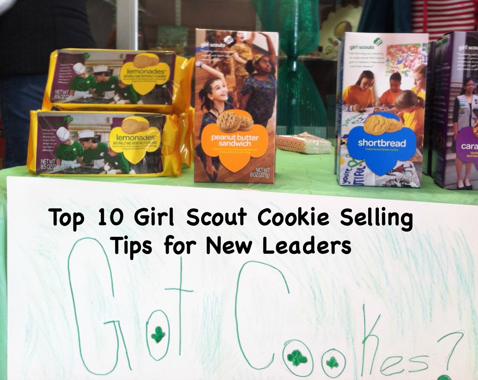 Daisy Troop Activities for Leaders Top 10 Tips for Your Very First