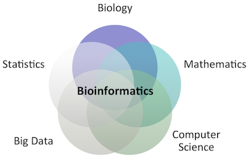 bioinformatics career guide career guide venn diagram bioinformatics