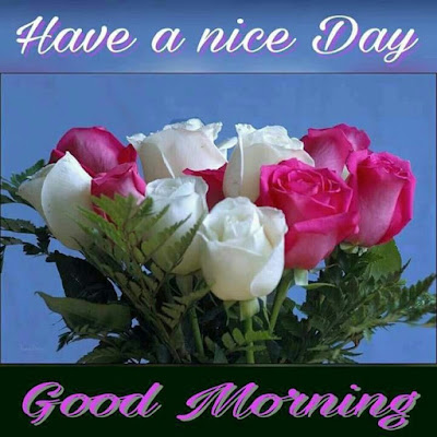 good-morning good-morning