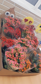 Jardines: Ciencia y arte.