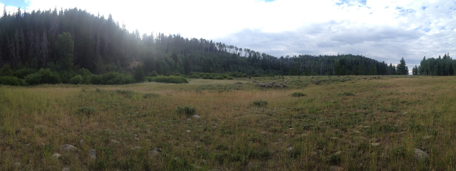Mark Rides the Divide Colorado Bound Rawlins, WY to Lynx Pass, CO
