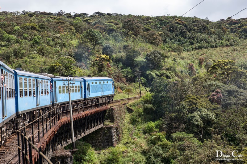 Tren de Kandy a Ella y sus plantaciones de Té - Sri Lanka, la lagrima de la India - Vuelta al Mundo (2)