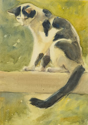 webb david watercolour animals painting