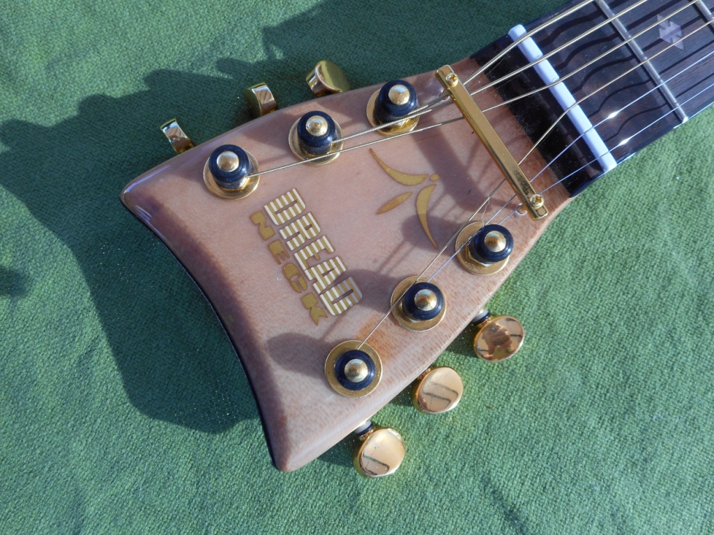 Rex and the Bass Shredneck Dreadneck DN7 Guitar Trainer Review