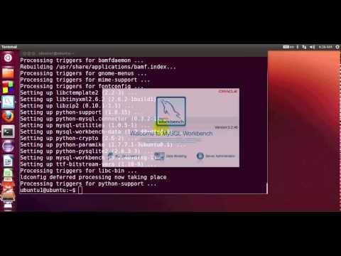 install mysql client ubuntu