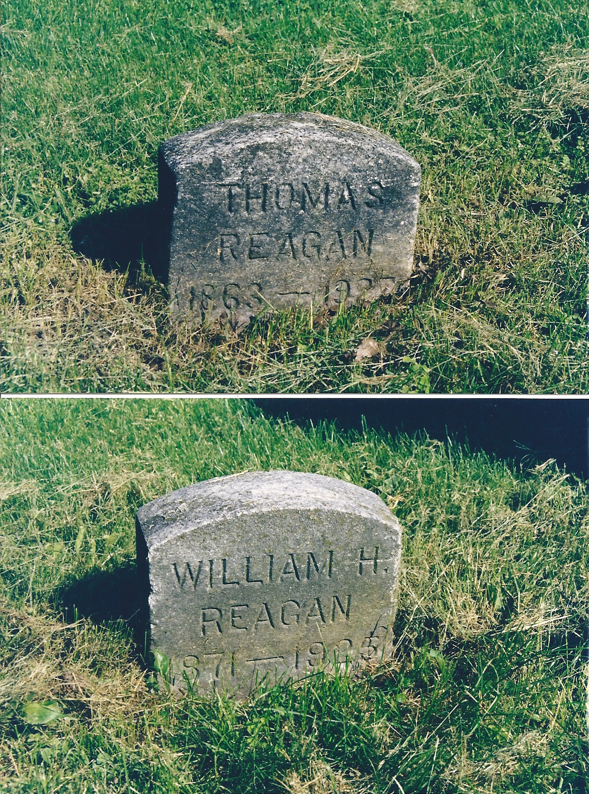 The Thomas Reagan and Margaret Sheehan Family Tree