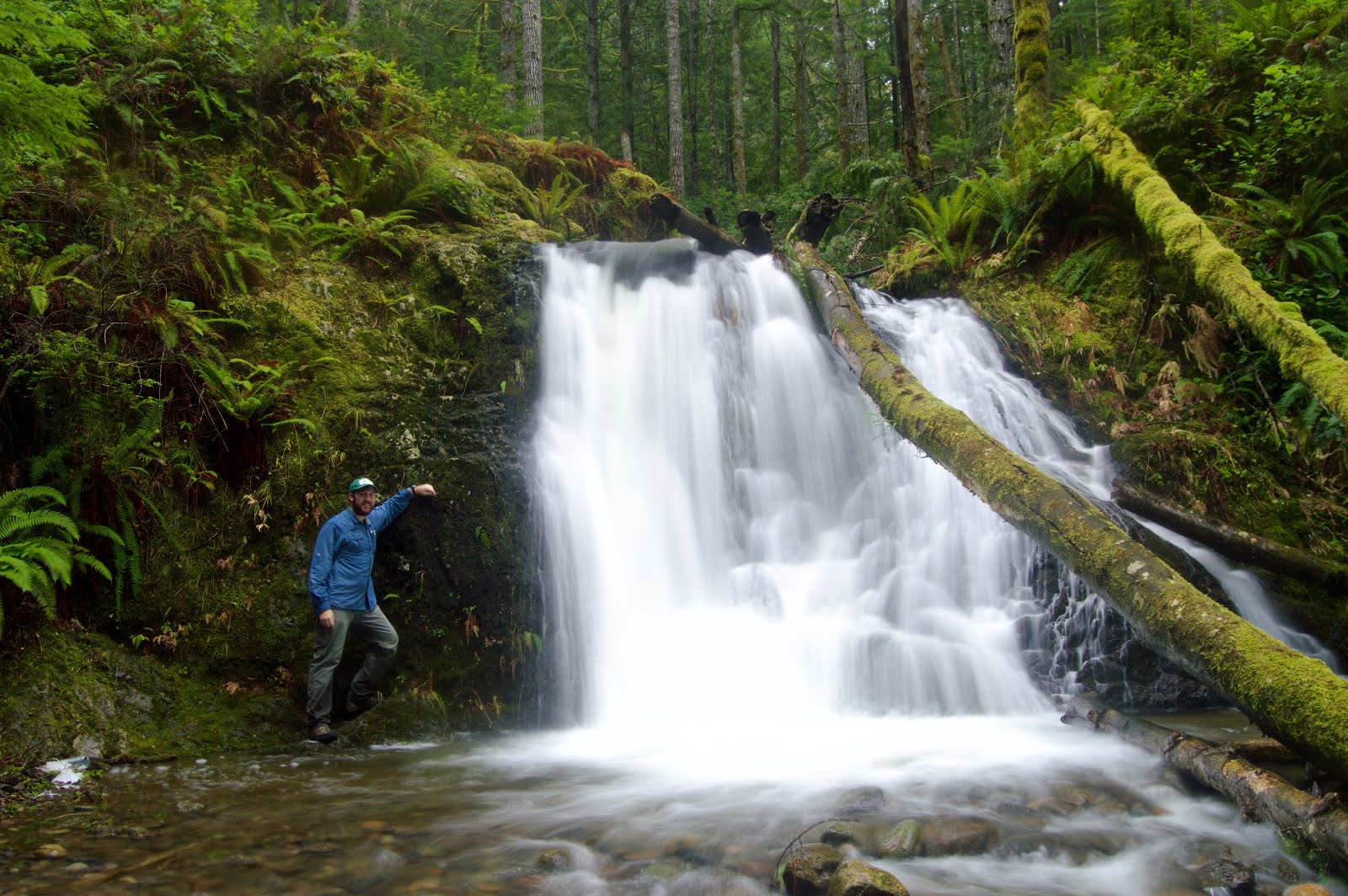 Geologic Adventures: Kitsap Waterfall Survey: Tin Mine Creek Revisit 12 ...