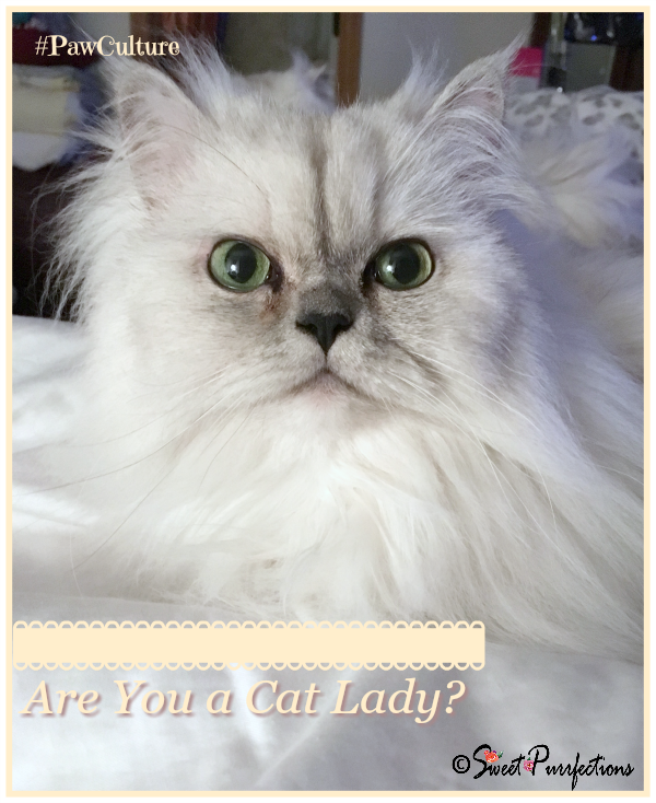 Are You a Cat Lady? Truffle asks if you are a Cat Lady