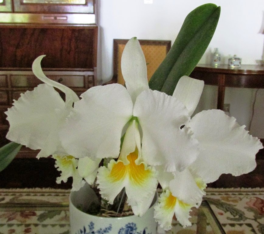 My Image 26